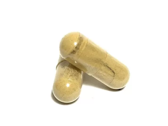 Golden Teacher Cordyceps Capsules