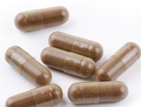 Golden Teacher Lion Mane Capsules